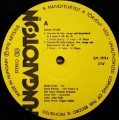 vivaldi-benko-3.jpg