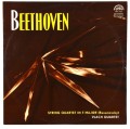 beethoven-vlach-1.JPG