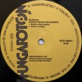 petrovics flute-3.jpg