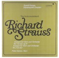 strauss horn-1.jpg