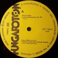 dvorak-perenyi-3.jpg