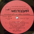 mozart-timofeeva-3.jpg