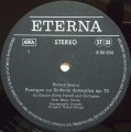 strauss parergon-3.jpg