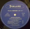 mahler van dam-3.jpg
