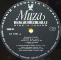 dvorak kulka-3.jpg