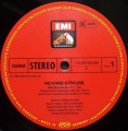 strauss quixote-3.jpg