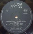 bach flute cymbalo-3.jpg
