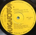 vivaldi perenyi-3.jpg
