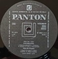 villa lobos panton-3.jpg