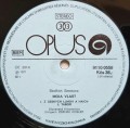 smetana vlast-5.jpg