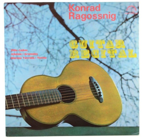 guitar ragossnig-1.jpg