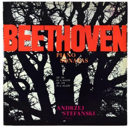 beethoven-stafanski-1.JPG